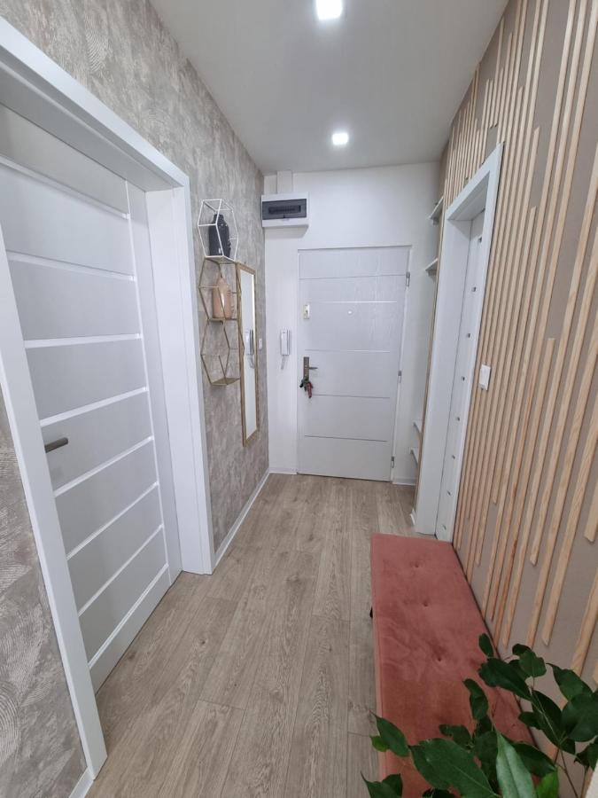 Apartment Alpha